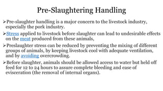Pre-Slaughtering Handling
Pre-slaughter handling is a major concern to the livestock industry,
especially the pork industry.
Stress applied to livestock before slaughter can lead to undesirable effects
on the meat produced from these animals,
Preslaughter stress can be reduced by preventing the mixing of different
groups of animals, by keeping livestock cool with adequate ventilation,
and by avoiding overcrowding.
Before slaughter, animals should be allowed access to water but held off
feed for 12 to 24 hours to assure complete bleeding and ease of
evisceration (the removal of internal organs).
 