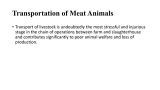 Transportation of Meat Animals
• Transport of livestock is undoubtedly the most stressful and injurious
stage in the chain of operations between farm and slaughterhouse
and contributes significantly to poor animal welfare and loss of
production.
 