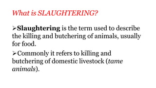 What is SLAUGHTERING?
Slaughtering is the term used to describe
the killing and butchering of animals, usually
for food.
Commonly it refers to killing and
butchering of domestic livestock (tame
animals).
 