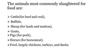 The animals most commonly slaughtered for
food are:
 Cattle(for beef and veal),
 Buffalo,
 Sheep (for lamb and mutton),
 Goats,
Pigs (for pork),
Horses (for horsemeat),
Fowl, largely chickens, turkeys, and ducks.
 