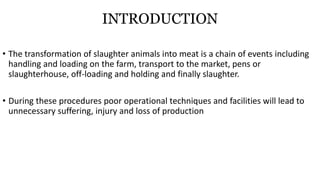 INTRODUCTION
• The transformation of slaughter animals into meat is a chain of events including
handling and loading on the farm, transport to the market, pens or
slaughterhouse, off-loading and holding and finally slaughter.
• During these procedures poor operational techniques and facilities will lead to
unnecessary suffering, injury and loss of production
 