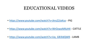 EDUCATIONAL VIDEOS
• https://www.youtube.com/watch?v=JtnsZ2JaKso - PIG
• https://www.youtube.com/watch?v=WrOzwoMKzH4 - CATTLE
• https://www.youtube.com/watch?v=Uq_GB3ldQW8 - LAMB
 
