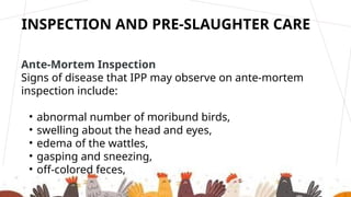 Slaughtering of Poultry_20260517_161941_0000.pptx