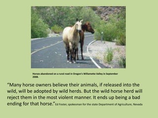 Horses abandoned on a rural road in Oregon's Willamette Valley in September 2008.“Many horse owners believe their animals, if released into the wild, will be adopted by wild herds. But the wild horse herd will reject them in the most violent manner. It ends up being a bad ending for that horse.”Ed Foster, spokesman for the state Department of Agriculture, Nevada
