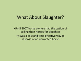 What About Slaughter?Until 2007 horse owners had the option of selling their horses for slaughter