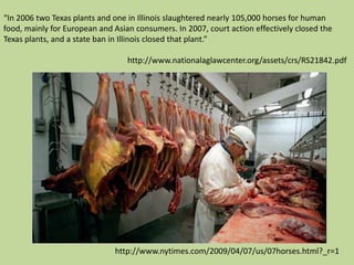 It was a cost and time effective way to dispose of an unwanted horse“In 2006 two Texas plants and one in Illinois slaughtered nearly 105,000 horses for human food, mainly for European and Asian consumers. In 2007, court action effectively closed the Texas plants, and a state ban in Illinois closed that plant.”							http://www.nationalaglawcenter.org/assets/crs/RS21842.pdfhttp://www.nytimes.com/2009/04/07/us/07horses.html?_r=1