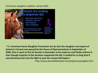 Anti-horse slaughter coalition- led by HSUS“The American Horse Slaughter Prevention Act (to ban the slaughter and export of America's horses) was passed by the House of Representatives in September of 2006, then it went to the US Senate in December to be voted on and finally enforce it. Even though majority of the Senators supported the bill, it stalled for so long that it was dismissed and now the fight to past the newest bill begins.”						http://www.aboutbillythekid.com/stophorseslaughter.htm