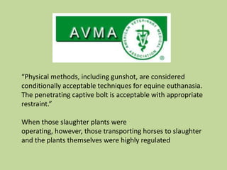 “Physical methods, including gunshot, are considered conditionally acceptable techniques for equine euthanasia. The penetrating captive bolt is acceptable with appropriate restraint.”When those slaughter plants were operating, however, those transporting horses to slaughter and the plants themselves were highly regulated