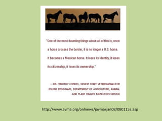 Were there incidences of cruelty at other Mexican slaughterhouses?  The AAEP only investigated TWO slaughterhouses.