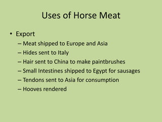 2009 Horse meat production 