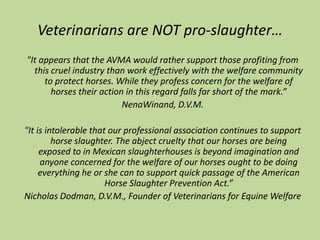 A Veterinarian’s Testimony“I have personally been to a horse slaughterhouse as a surgery resident while in Texas and I found it to be a disgrace…I was absolutely revolted at the way the horses were treated and the behavior of the people that were employed there. I have also been to a beef and a chicken slaughter plant too. The treatment of and reaction by the horses was very much in contrast to that of the other livestock I had observed.”Patricia Hogan, D.V.M., Dipl. ACVS
