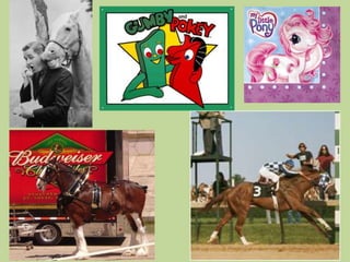 Anti-Horse Slaughter- Preserving the Horse-Human Bond Horses are not, and have never been, considered a food animal by the American public and are currently considered companion animals.80% of Americans oppose horse consumption.Owner responsibility is key.People in other nations are free to treat their own horses in accordance with their perception of the horse, and we should do the same.