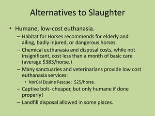 Alternatives to SlaughterEDUCATION!Are you prepared to own a horse?HSUS information for owners-to-be.A Second CareerFrom the racetrack to the show ring.Trail horseUSDA study- 92 percent of horses slaughtered in good condition could lead productive lives in new homes.What about ill or geriatric horses?