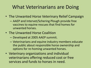 Alternatives to SlaughterHumane, low-cost euthanasia.Habitat for Horses recommends for elderly and ailing, badly injured, or dangerous horses.Chemical euthanasia and disposal costs, while not insignificant, cost less than a month of basic care (average $383/horse.)Many sanctuaries and veterinarians provide low cost euthanasia services:NorCal Equine Rescue:  $25/horse.Captive bolt- cheaper, but only humane if done properly!Landfill disposal allowed in some places.