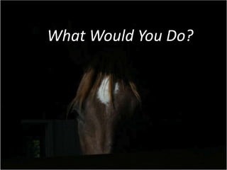 What Veterinarians are DoingThe Unwanted Horse Veterinary Relief CampaignAAEP and Intervet/Schering Plough provide free vaccines to equine rescues that find homes for unwanted horses.The Unwanted Horse Coalition Developed at 2005 AAEP summit.Veterinarians and equine industry members educate the public about responsible horse ownership and options for re-homing unwanted horses. Veterinary organizations and individual veterinarians offering reduced cost or free services and funds to horses in need.