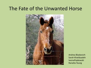 The Fate of the Unwanted Horse Andrea Blaskovich Sarah Khatibzadeh IwonaPopkowski Ranatta Young 