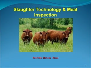 Slaughter Technology and Meat Inspection.ppt