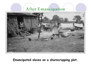 After Emancipation Emancipated slaves on a sharecropping plot. 