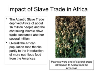 Impact of Slave Trade in Africa
• The Atlantic Slave Trade
deprived Africa of about
16 million people and the
continuing Islamic slave
trade consumed another
several million
• Overall the African
population rose thanks
partly to the introduction
of more nutritious food
from the Americas
Peanuts were one of several crops
introduced to Africa from the
Americas
 