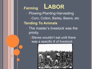 Slaves who had many children were  more valuable.Tempe Herndon DurhamA tradition in weddings was to jump over a broom