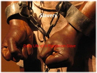 Slavery Daily Life of a Plantation Slave 
