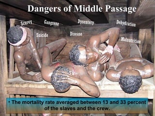 Dangers of Middle Passage
Scurvy

Gangrene

Suicide

Dysentery

Disease

Dehydratio
n

Malnutritio
n

• The mortality rate averaged between 13 and 33 percent
of the slaves and the crew.

 