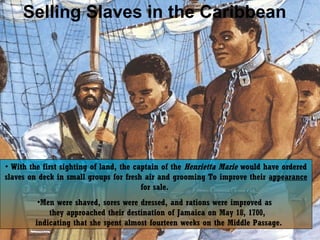 Selling Slaves in the Caribbean

• With the first sighting of land, the captain of the Henrietta Marie would have ordered
slaves on deck in small groups for fresh air and grooming To improve their appearance
for sale.
•Men were shaved, sores were dressed, and rations were improved as
they approached their destination of Jamaica on May 18, 1700,
indicating that she spent almost fourteen weeks on the Middle Passage.

 