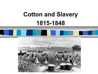 Cotton and Slavery
1815-1848
 
