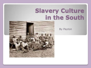 Slavery Culture in the South By Payton 