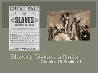 Slavery Divides a Nation	 Chapter 16 Section 1 
