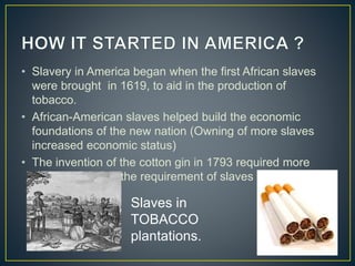 • Slavery in America began when the first African slaves
were brought in 1619, to aid in the production of
tobacco.
• African-American slaves helped build the economic
foundations of the new nation (Owning of more slaves
increased economic status)
• The invention of the cotton gin in 1793 required more
labourers. Thus, the requirement of slaves increased.
Slaves in
TOBACCO
plantations.
 