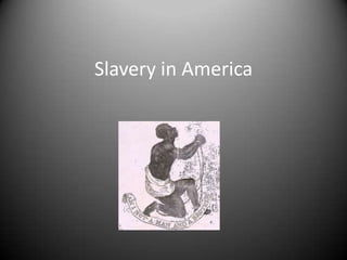 Slavery in America
 