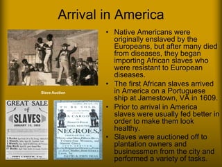 Arrival in America
• Native Americans were
originally enslaved by the
Europeans, but after many died
from diseases, they began
importing African slaves who
were resistant to European
diseases.
• The first African slaves arrived
in America on a Portuguese
ship at Jamestown, VA in 1609.
• Prior to arrival in America
slaves were usually fed better in
order to make them look
healthy.
• Slaves were auctioned off to
plantation owners and
businessmen from the city and
performed a variety of tasks.
Slave Auction
 