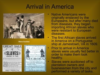 Arrival in America
• Native Americans were
originally enslaved by the
Europeans, but after many died
from diseases, they began
importing African slaves who
were resistant to European
diseases.
• The first African slaves arrived
in America on a Portuguese
ship at Jamestown, VA in 1609.
• Prior to arrival in America
slaves were usually fed better in
order to make them look
healthy.
• Slaves were auctioned off to
plantation owners and
businessmen from the city and
performed a variety of tasks.
Slave Auction
 