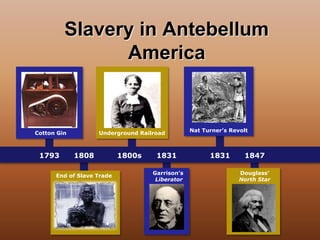 Slavery in Antebellum 
Cotton Gin Underground Railroad 
Nat Turner’s Revolt 
1793 1808 1800s 1847 
Garrison’s 
Liberator 
1831 
1831 
Douglass’ 
North Star 
America 
End of Slave Trade 
 