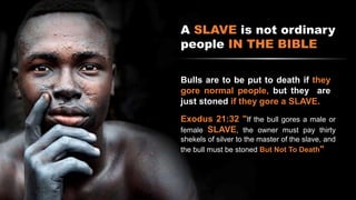 A SLAVE is not ordinary
people IN THE BIBLE
Bulls are to be put to death if they
gore normal people, but they are
just stoned if they gore a SLAVE.
Exodus 21:32 "If the bull gores a male or
female SLAVE, the owner must pay thirty
shekels of silver to the master of the slave, and
the bull must be stoned But Not To Death"
 