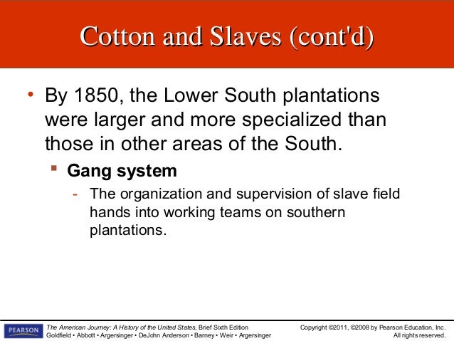 the history of the gang system slavery and urban slavery American history slavery plantation system slaves were in the fields from sunrise to sunset and at harvest time they did an eighteen hour day women worked the same hours as the men and pregnant women were expected to continue until their child was born. the history of the gang system slavery and urban slavery American history slavery plantation system slaves were in the fields from sunrise to sunset and at harvest time they did an eighteen hour day women worked the same hours as the men and pregnant women were expected to continue until their child was born.