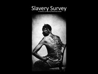 Slavery Survey
  A slavery survey by Matthew Drake
 