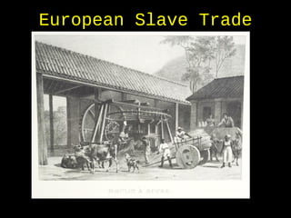 European Slave Trade
 