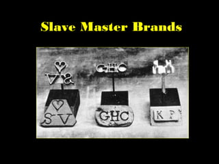 Slave Master Brands
 