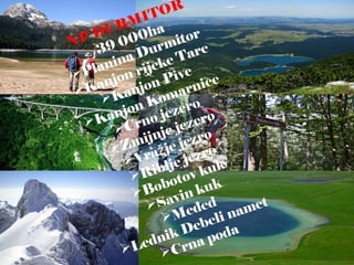 NP DURMITOR
39 000ha
Planina Durmitor
Kanjon rijeke Tare
Kanjon Pive
Kanjon Komarnice
Crno jezero
Zmijnje jezero
Vra je jezro
ž
Riblje jezro
Bobotov kuk
Savin kuk
Međed
Lednik Debeli namet
Crna poda
 
