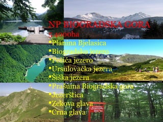 NP BIOGRADSKA GORA
5 4000ha
Planina Bjelasica
Biogradsko jezero
Pešića jezero
Ursulovačka jezera
Šiška jezera
Prašuma Biogradska gora
Jezerštica
Zekova glava
Crna glava
 