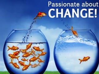 Slavica Squire - NLP