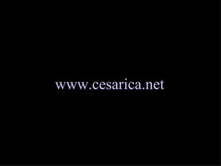 www.cesarica.net
 