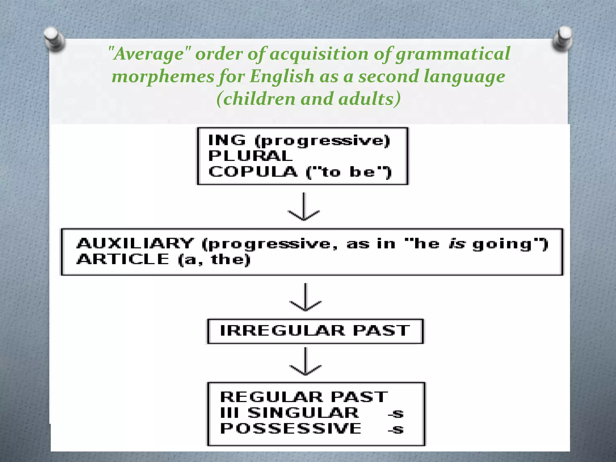 "Average" order of acquisition of grammatical 
morphemes for English as a second language 
(children and adults) 
 