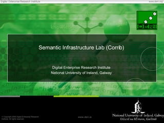 Semantic Infrastructure Lab (Corrib) Digital Enterprise Research Institute National University of Ireland, Galway 