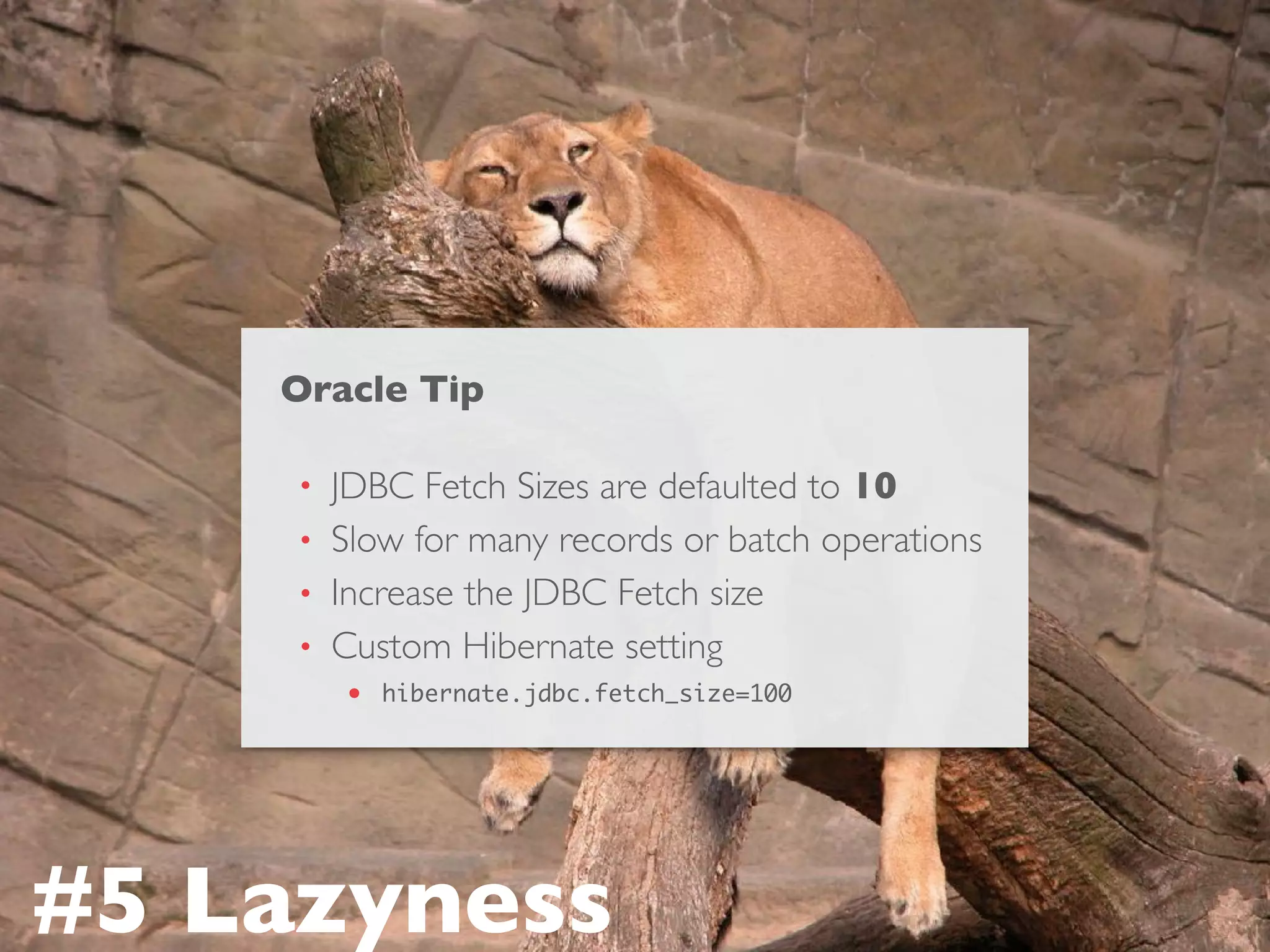 Oracle Tip
• JDBC Fetch Sizes are defaulted to 10
• Slow for many records or batch operations
• Increase the JDBC Fetch size
• Custom Hibernate setting
• hibernate.jdbc.fetch_size=100
#5 Lazyness
 