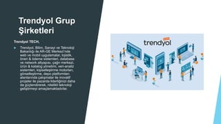 Özel Alışveriş Sitesinde Pazaryeri: Trendyol Örneği