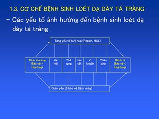 BÀI GIẢNG SINH LÝ TIÊU HÓA VỚI SƠ ĐỒ CẤU TRÚC ỐNG TIÊU HÓA