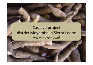 Cassave project
district Moyamba in Sierra Leone
        www.moyamba.nl
 
